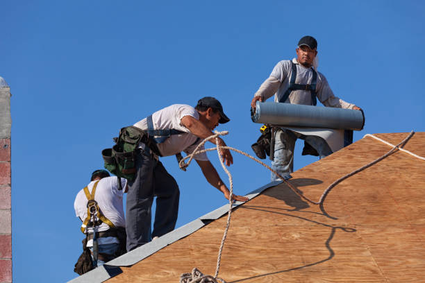 Best Tile Roofing Contractor  in Carrier Mls, IL