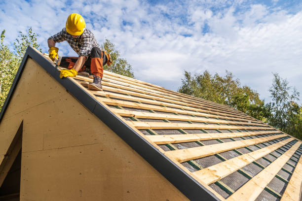 Best Roof Replacement Cost  in Carrier Mls, IL