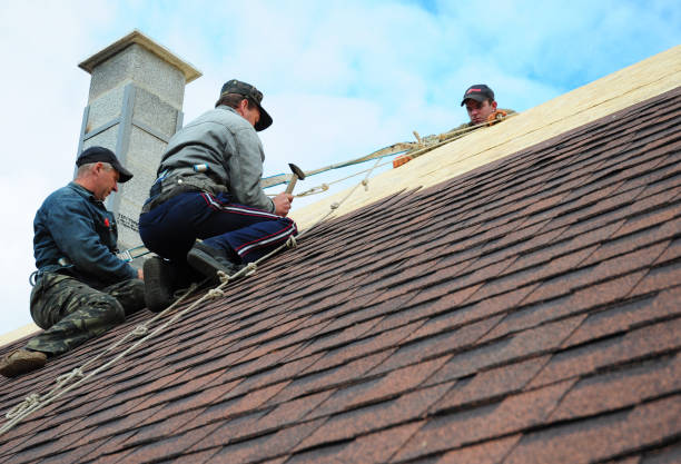 Best Emergency Roof Repair  in Carrier Mls, IL