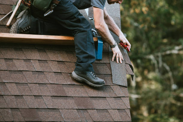 Best Roof Gutter Cleaning  in Carrier Mls, IL