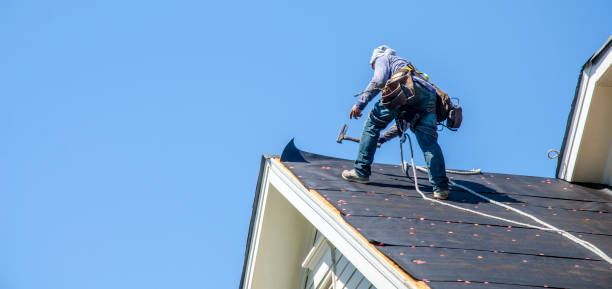 Best Emergency Roof Repair  in Carrier Mls, IL